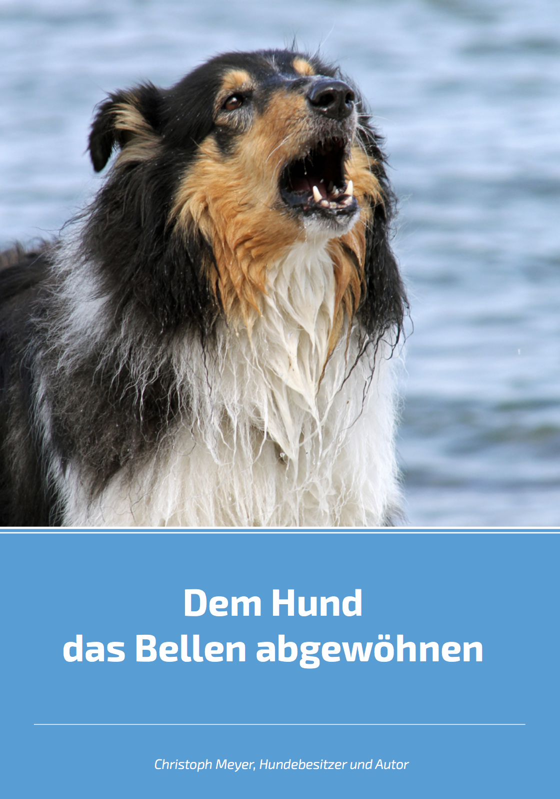 hund_das_bellen_abgewöhnen — Haushund